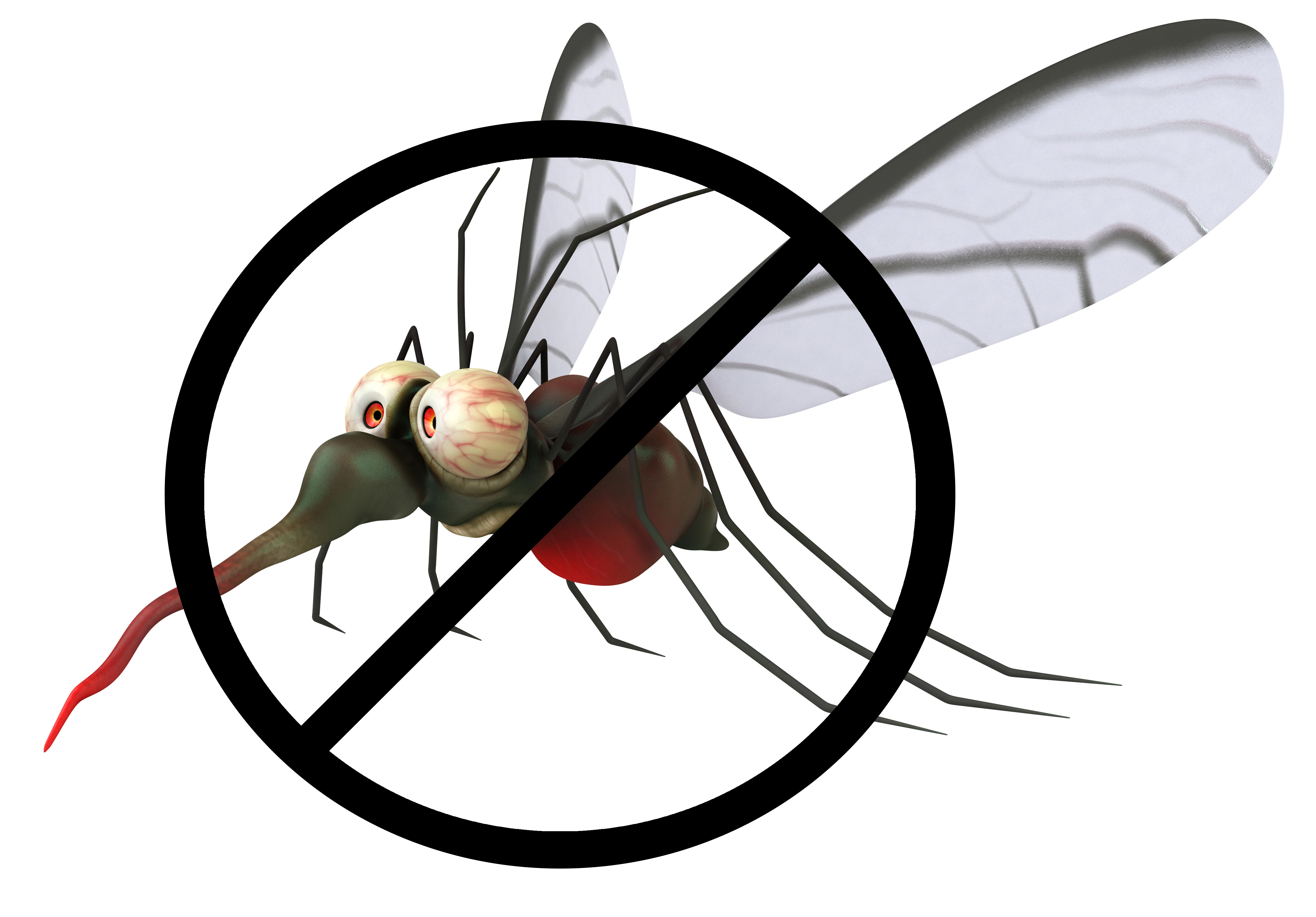 Fun mosquito